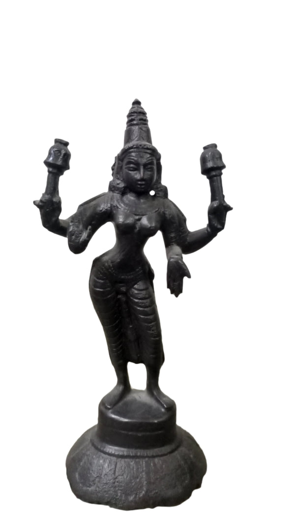 BRASS LAKSHMI BLACK 6