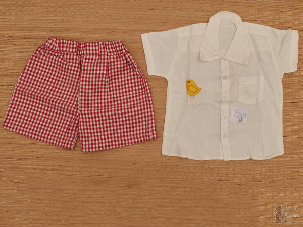 Applique Work Baby Shorts and Shirt Set