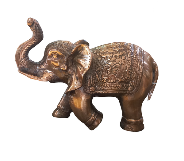 Copper Oxidized Elephant Trunk Up 7.5