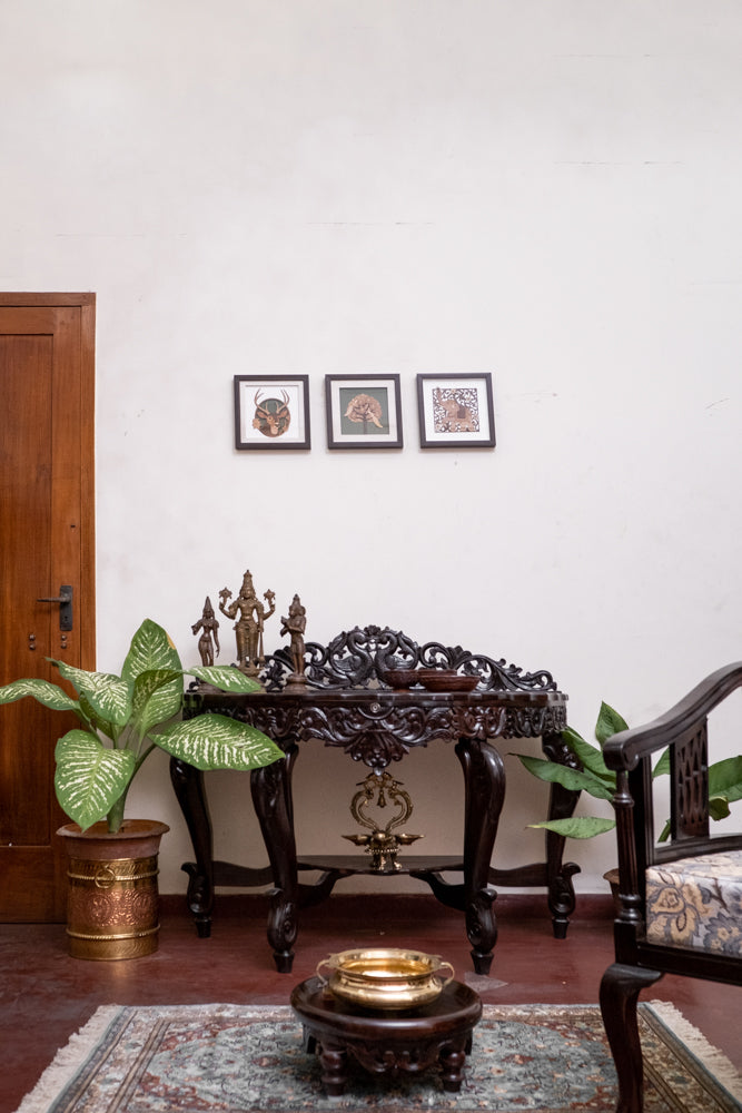 Collection page banner